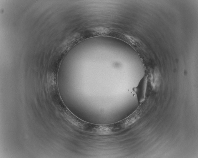 X0000068820518200605051214