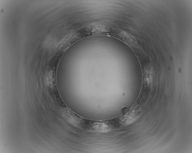 X0000068820519200605051214