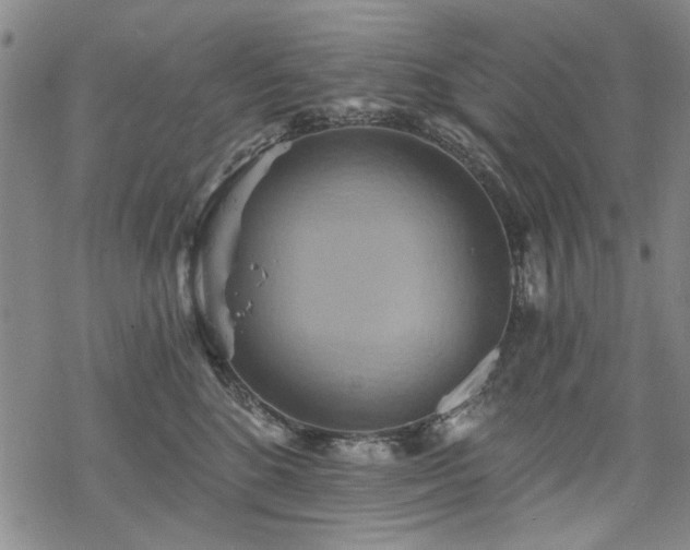 X0000068820520200605051214