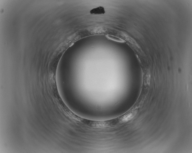 X0000068820521200605051214