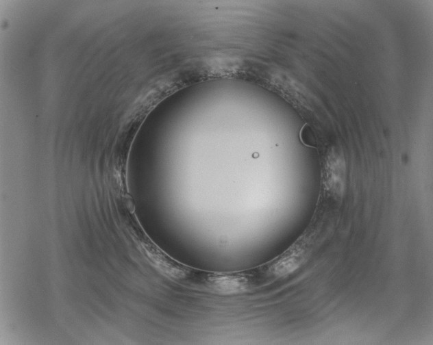 X0000068820522200605051214