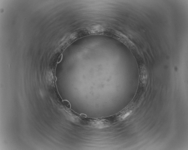 X0000068820523200605051214