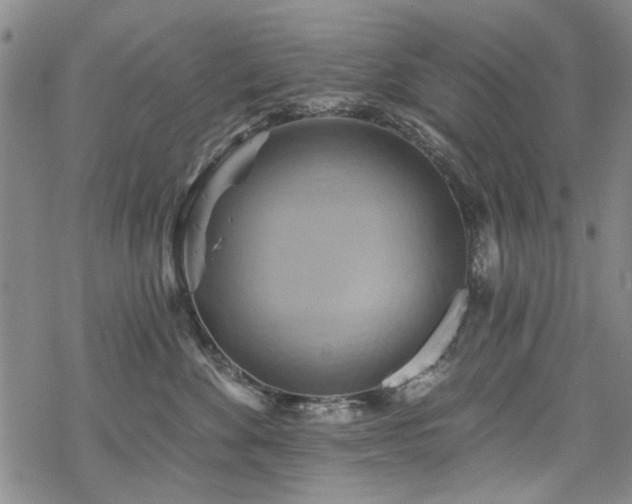 X0000068820524200605051214