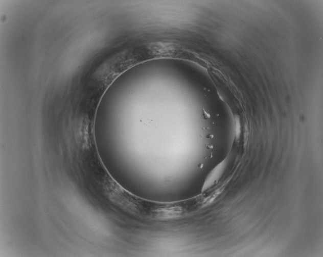 X0000068820525200605051214