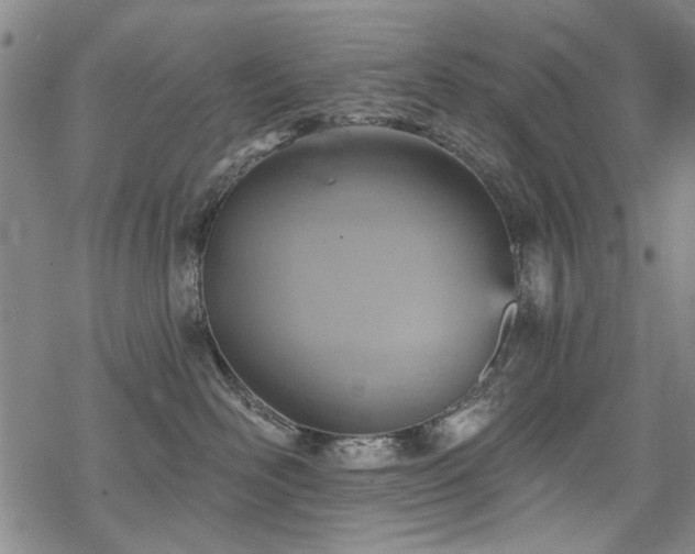 X0000068820526200605051214