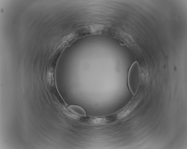 X0000068820527200605051214