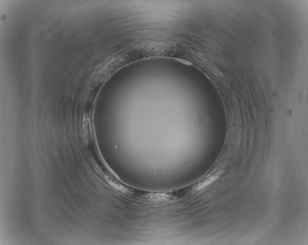 X0000068820528200605051214