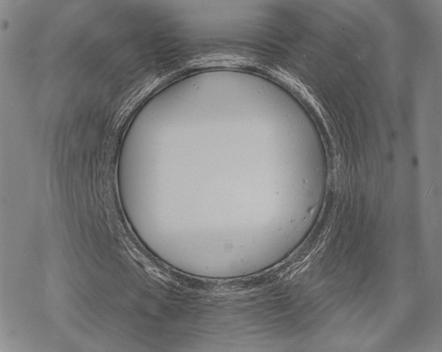 X0000068820529200605051213