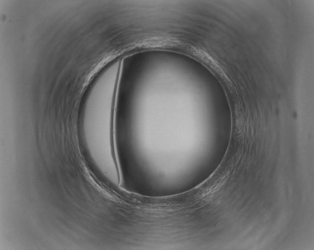 X0000068820530200605051213