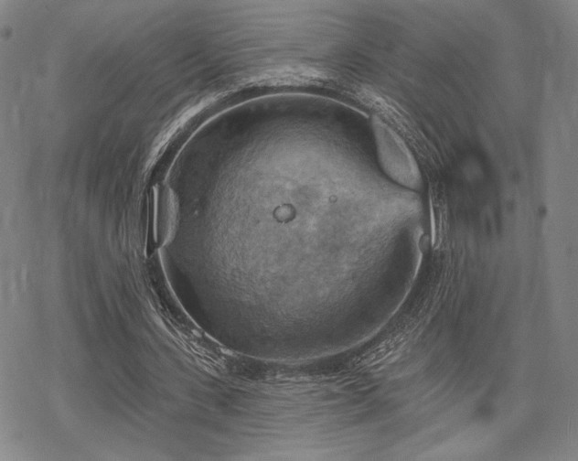 X0000068820531200605051213