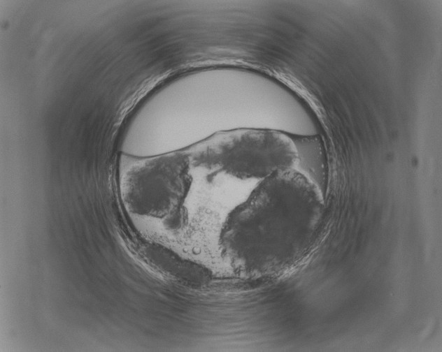 X0000068820533200605051213