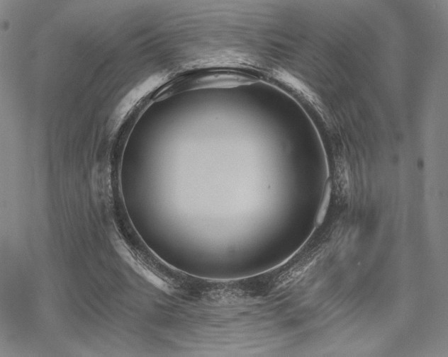 X0000068820535200605051213