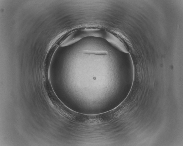 X0000068820536200605051213