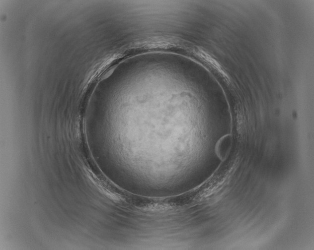 X0000068820537200605051213