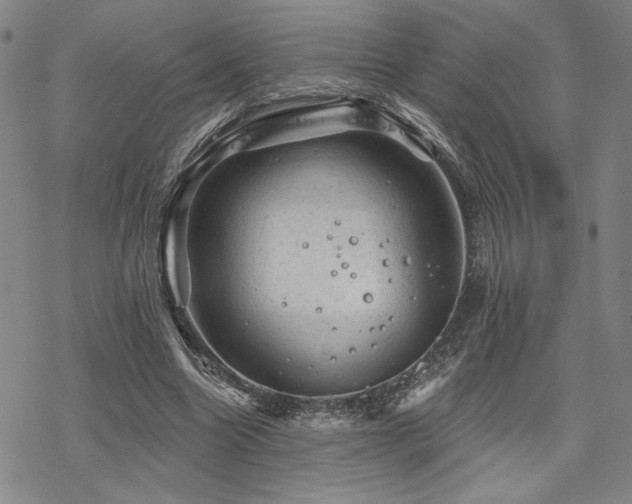 X0000068820538200605051213