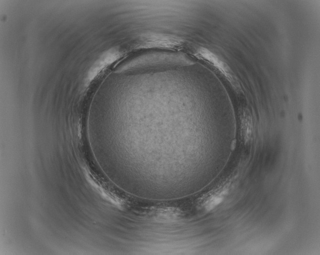 X0000068820539200605051213