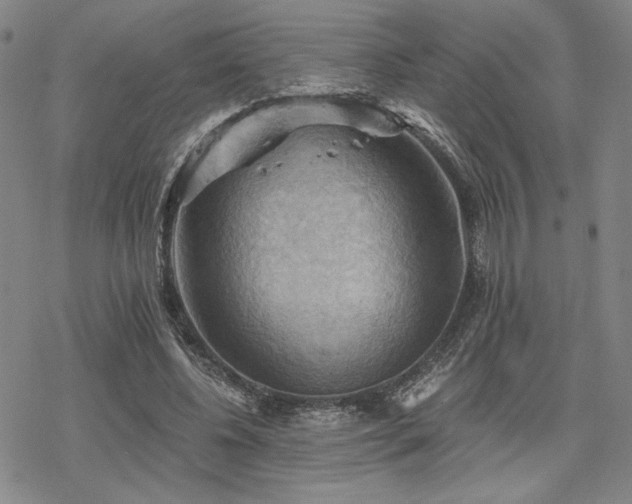 X0000068820540200605051213