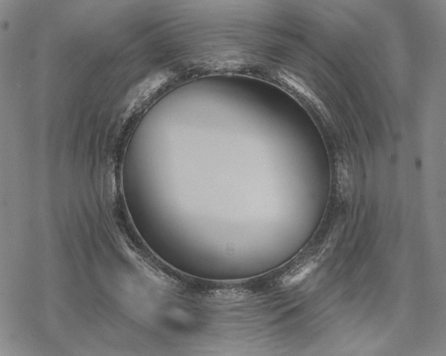 X0000068820541200605051213