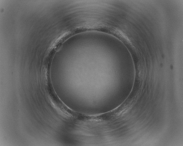 X0000068820542200605051213