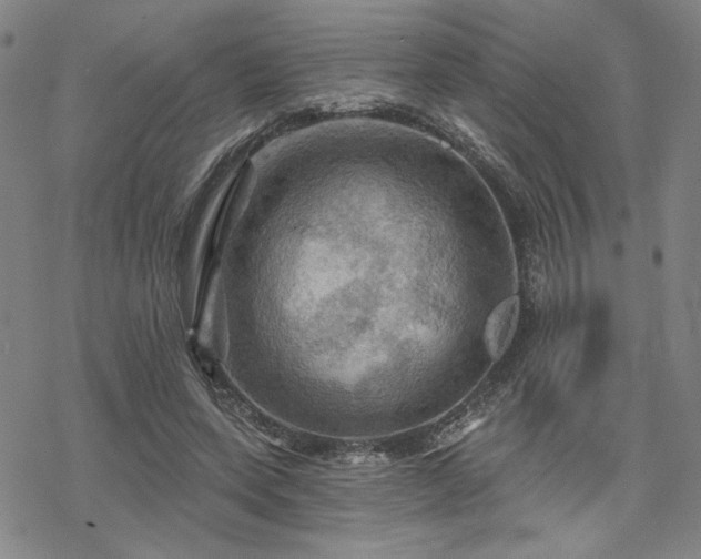 X0000068820543200605051213