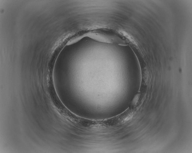 X0000068820544200605051213