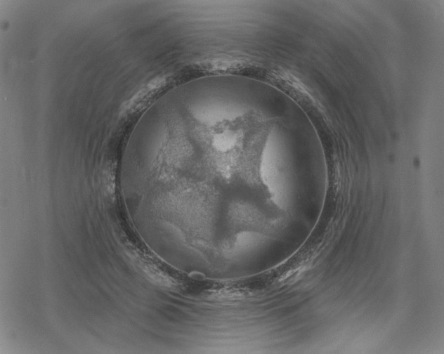 X0000068820545200605051213