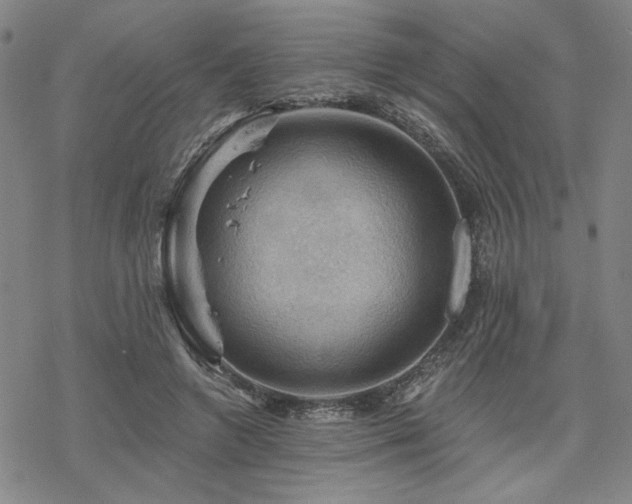 X0000068820546200605051213