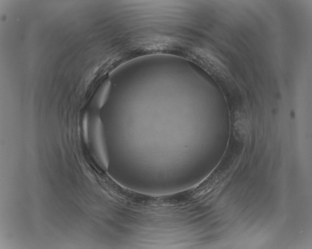 X0000068820547200605051213