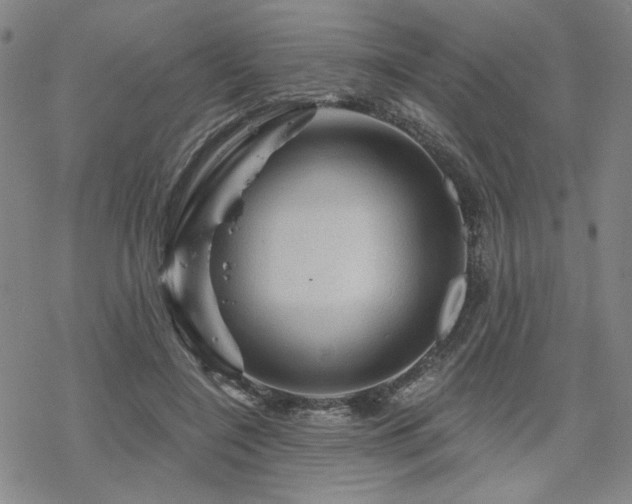 X0000068820548200605051213