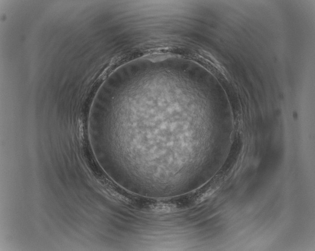 X0000068820549200605051213