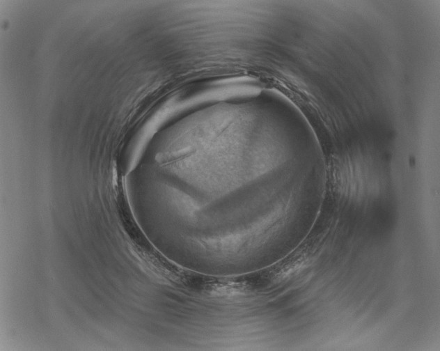 X0000068820550200605051213