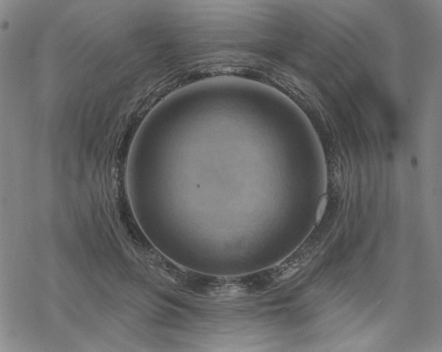 X0000068820551200605051213