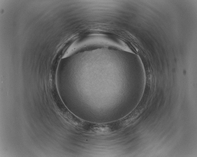 X0000068820552200605051213