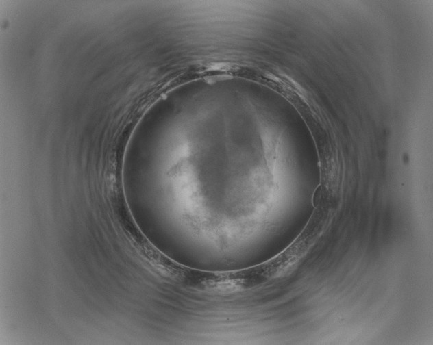 X0000068820553200605051213