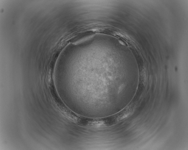 X0000068820554200605051213