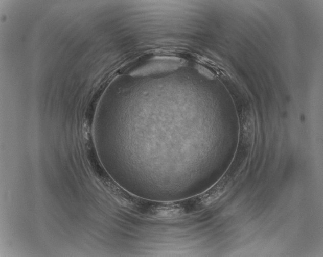 X0000068820555200605051213