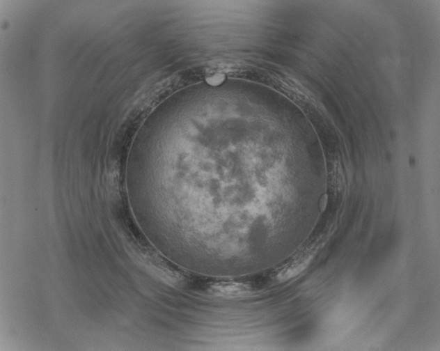 X0000068820557200605051213