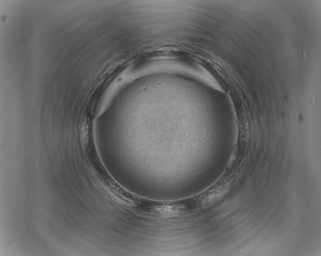 X0000068820558200605051213