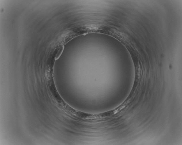 X0000068820559200605051213