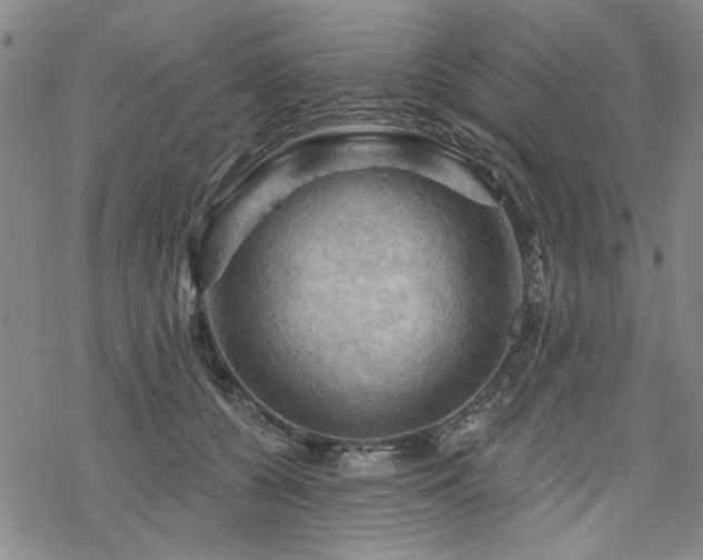 X0000068820560200605051213