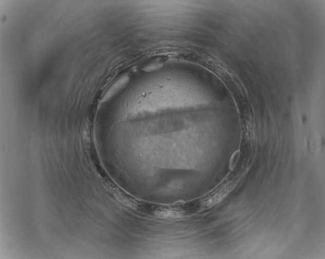 X0000068820561200605051213