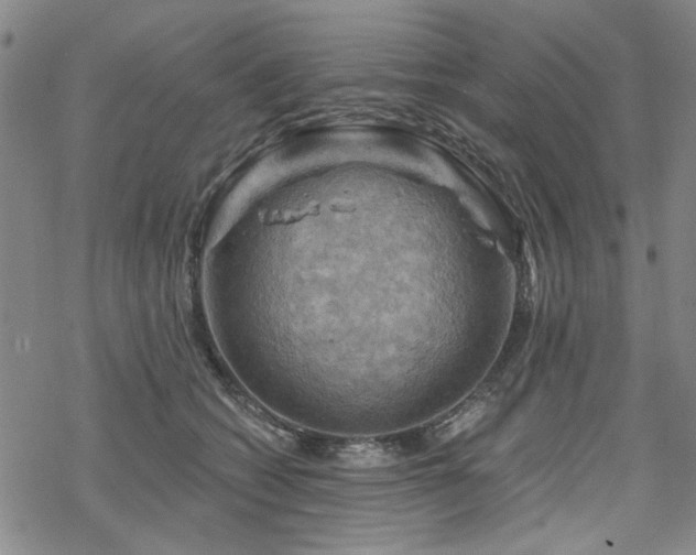 X0000068820562200605051213