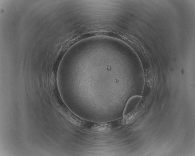 X0000068820563200605051213