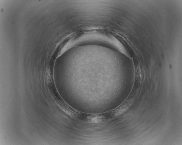 X0000068820564200605051213