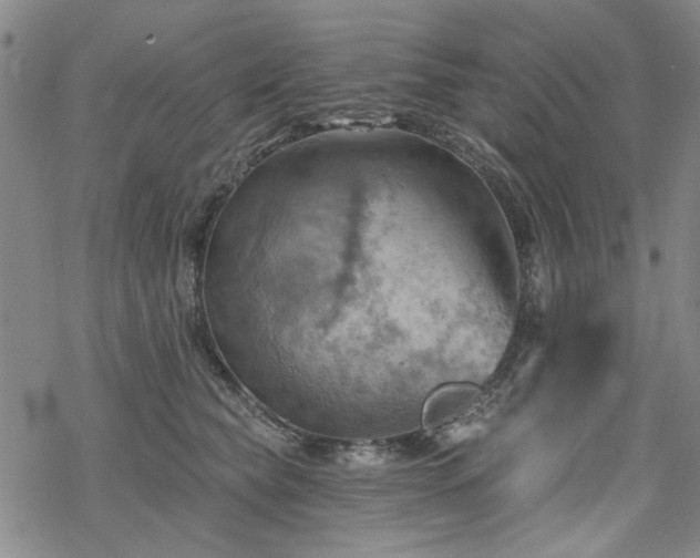 X0000068820565200605051213