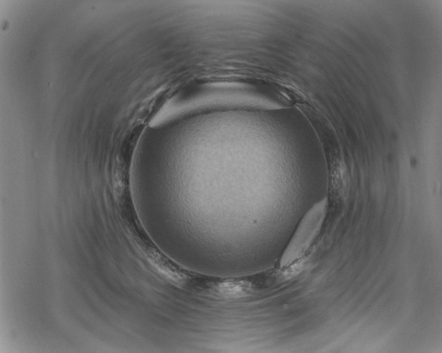 X0000068820566200605051213