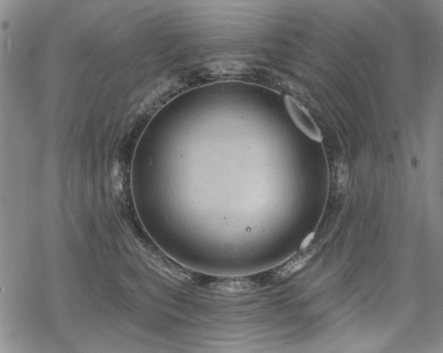 X0000068820567200605051213