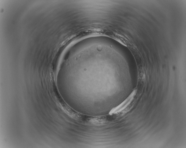 X0000068820568200605051213