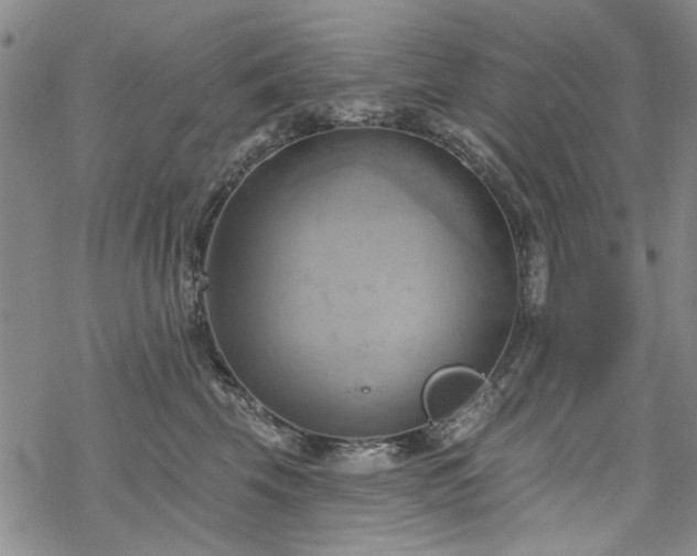 X0000068820569200605051214