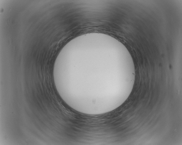 X0000068820570200605051214